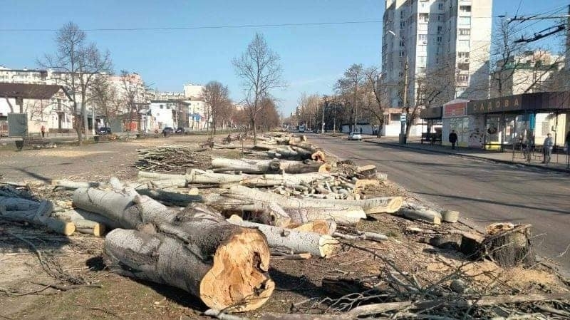 На головному проспекті Миколаєва зрубали тополі, щоб військові не пилили ялинки, - Сенкевич