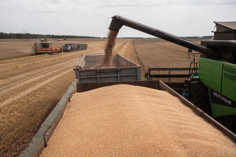 За неделю экспорт зерновым коридором вырос на 65%