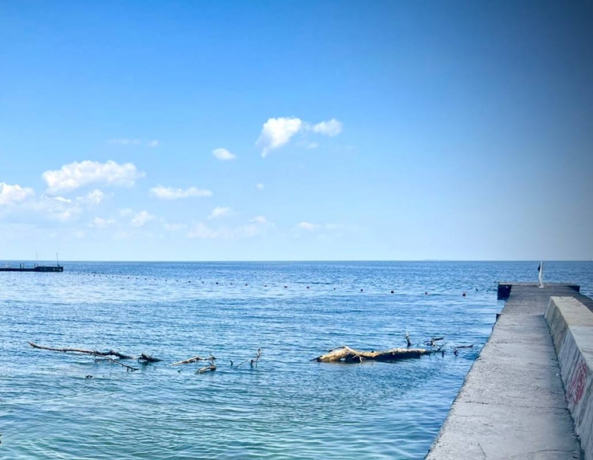 У морській воді біля Одеси виявили холероподібний вібріон