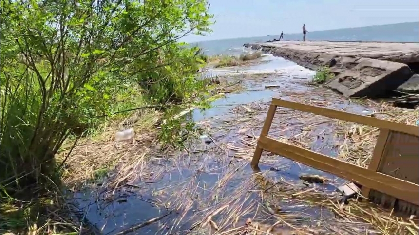 Самое плохое еще впереди: экологи рассказали, почему вода в Черном море изменила цвет