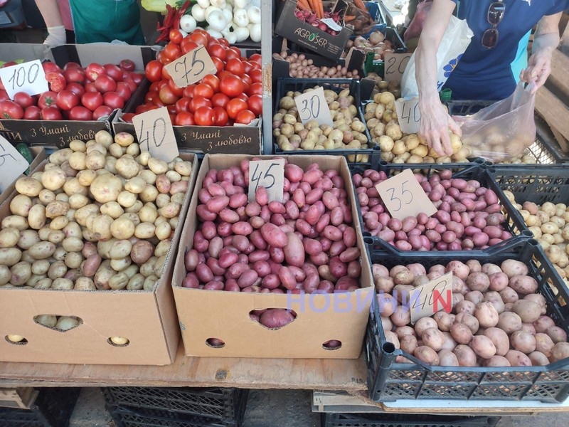 Гори полуниці, перша малина за «космічною» ціною та «вчорашні» огірки: репортаж з ринку Миколаєва