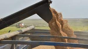В Україні перевиконали план посівної по зерновим