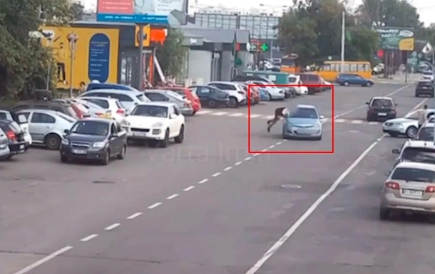 В Ірпені чоловік кинувся під колеса автомобіля (відео)