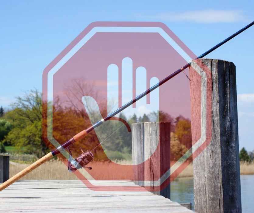 Запреты на рыбалку: периоды, когда нельзя ловить рыбу