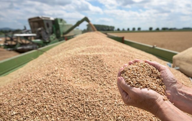 Зерно, олія та цукор дешевшають: світові ціни на продовольство впали до мінімуму за 2 роки