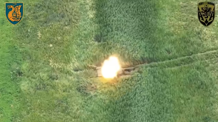 Николаевские морпехи показали, как уничтожили вражеский танк FPV-дроном (видео)