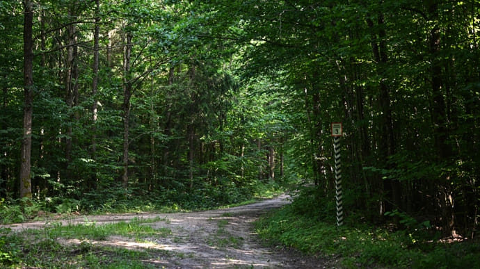 У Білорусі заборонили ходити лісами на кордоні з Україною