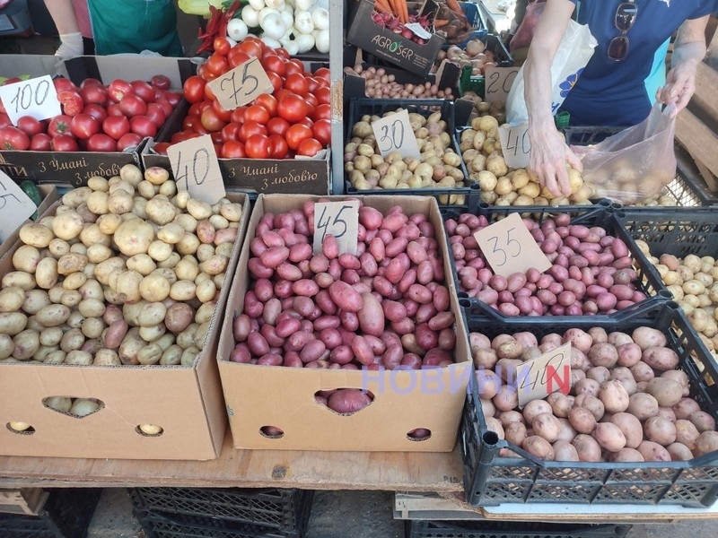 В Николаевской области подешевели продукты, а вот электроэнергия подорожала на 70%, - ГУ статистики