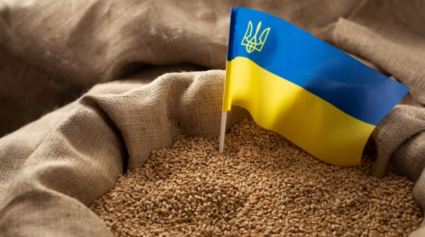 Венгрия и еще четыре страны ЕС призывают продлить запрет на импорт украинского зерна