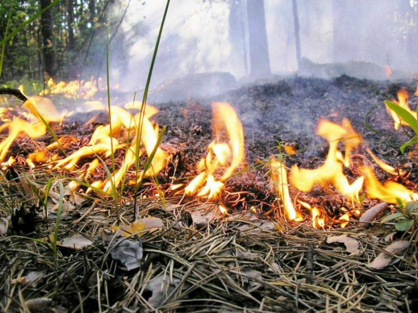 В Николаевской области чрезвычайная пожарная опасность (видео)