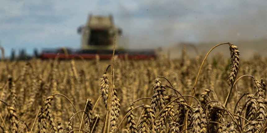 РФ погрожує «ризиками» сторонам, які хочуть продовжити зернову угоду без її участі