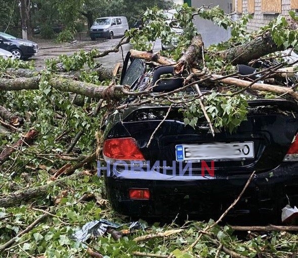 У Миколаєві дерево впало на автомобіль та обірвало електричні дроти (відео)