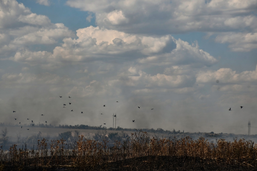 На Миколаївщині підпалюють заміновані поля: у ДСНС заявили про загрозу їхнім життям