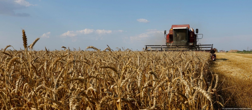 Словакия предложила помочь Украине с экспортом зерна