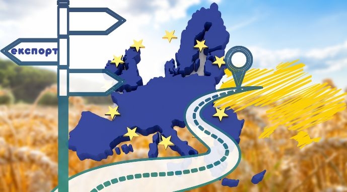 У ЕС отсутствуют средства на транзит зерна из Украины, - СМИ
