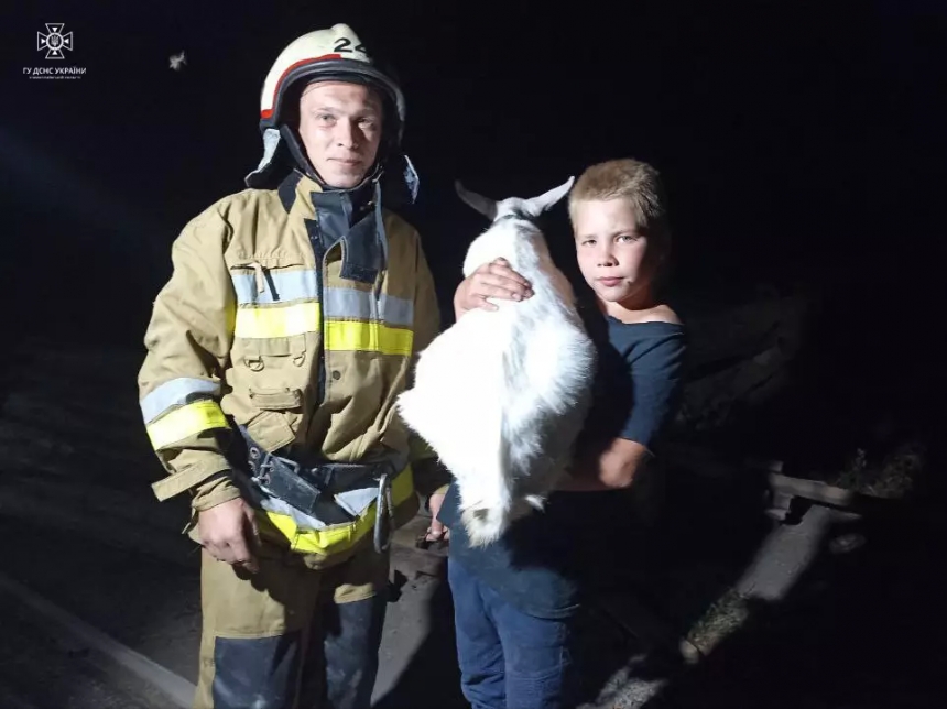 Как в сказке: николаевские спасатели достали козленка из колодца