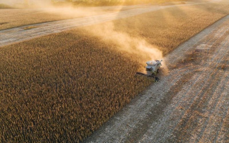 С 1 июля по 9 августа Украина экспортировала почти 3 миллиона тонн зерновых и зернобобовых