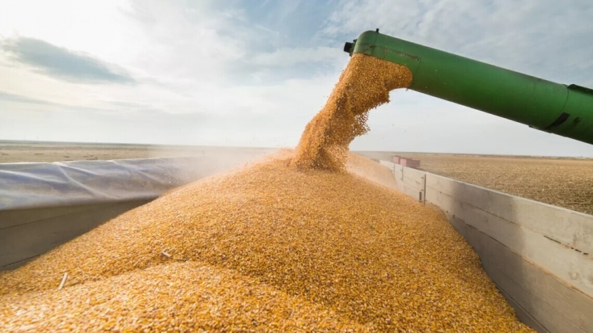 В ЕС предложили решить проблему экспорта украинского зерна