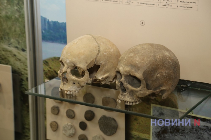 У Миколаївському краєзнавчому музеї відбулася прес-конференція з нагоди оновлення та реекспозиції залів археології (фото, відео)