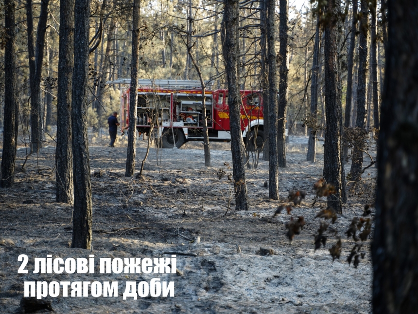 Під Миколаєвом горів ліс, причина пожежі – підпал