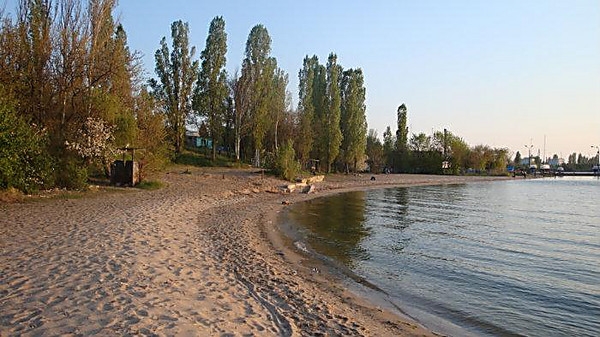 У Миколаєві на пляжах гине риба: екологічні інспектори назвали причину