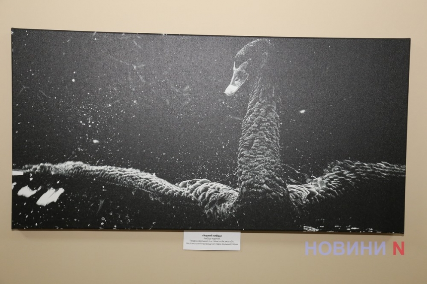 Красота Бугского гарда: в Николаевском музее открылась памятная выставка фоторабот Дениса Кривого (фоторепортаж)