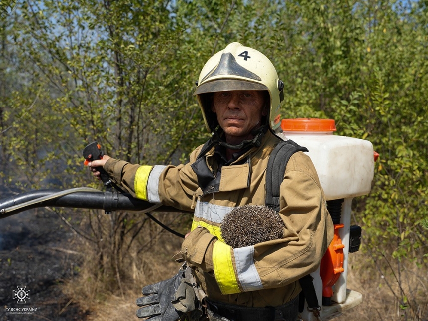 Миколаївські ДСНС-ники врятували їжака під час пожежі (фото)