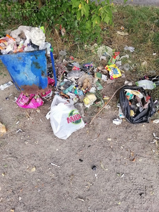 Стекло, амброзия, мусор: в Николаеве городскую власть вынудили убрать незаконные свалки (фото)