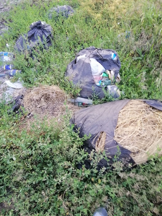 Скло, амброзія, сміття: у Миколаєві міську владу змусили прибрати незаконні звалища (фото)