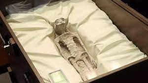 В парламенте Мексики показали 1000-летние скелеты инопланетян (видео)