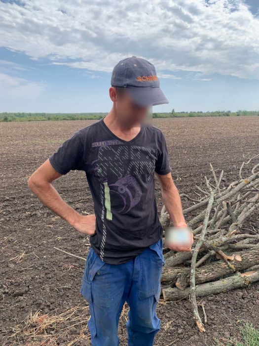 У Первомайському районі незаконно рубають дерева: суми штрафів сміховинні