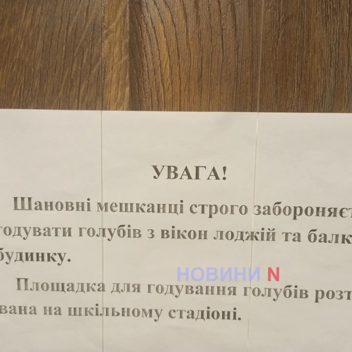 В Николаеве многоэтажки «атакуют» голуби: жители жалуются на вонь и помет, но подкармливают