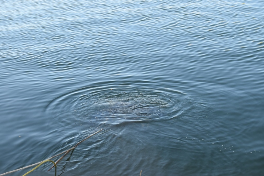 Стало погано під час купання: на Миколаївщині потонув чоловік