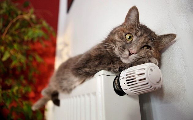 Холод в квартирах: «Николаевоблтеплоэнерго» 4 года не соблюдало нормативы температуры, - АМКУ