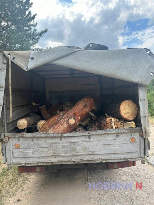 У Миколаєві колишнього «чаклуна» звільнили з посади майстра лісу за розкрадання деревини