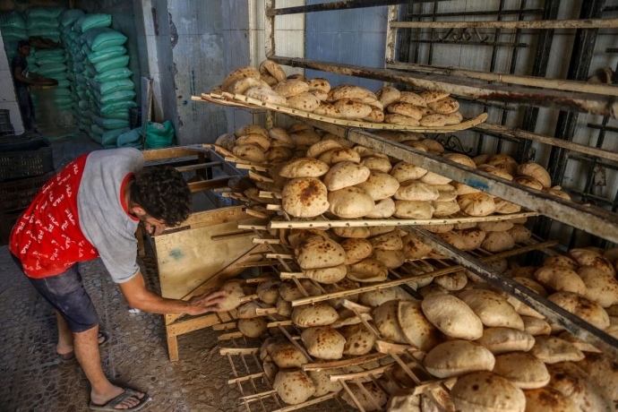 Єгипет відмовився від російської пшениці після того, як РФ змінила ціну, - Bloomberg
