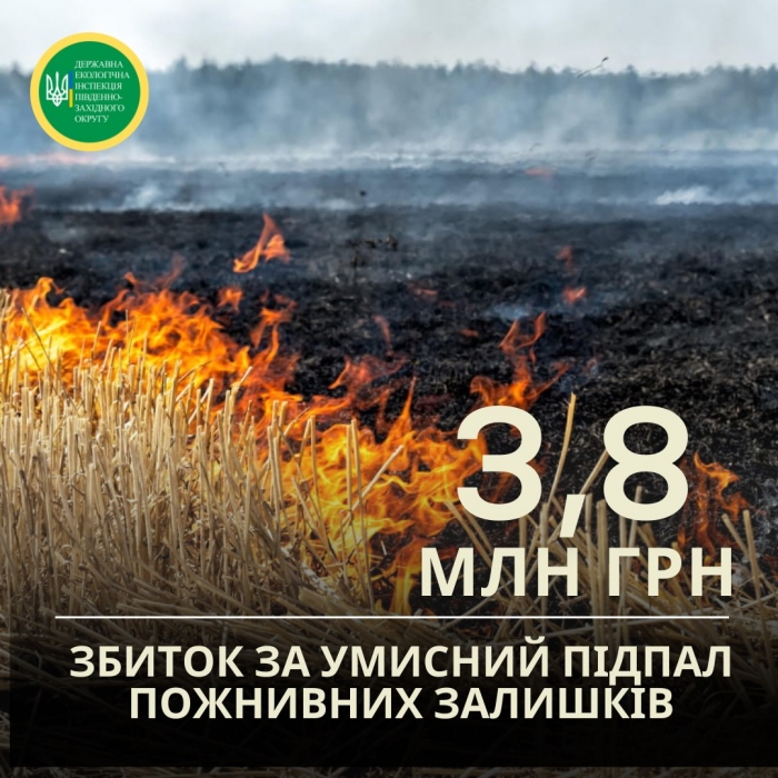 В Николаевской области поджигателей травы ждет штраф: ущерб оценили в более 3,8 млн грн