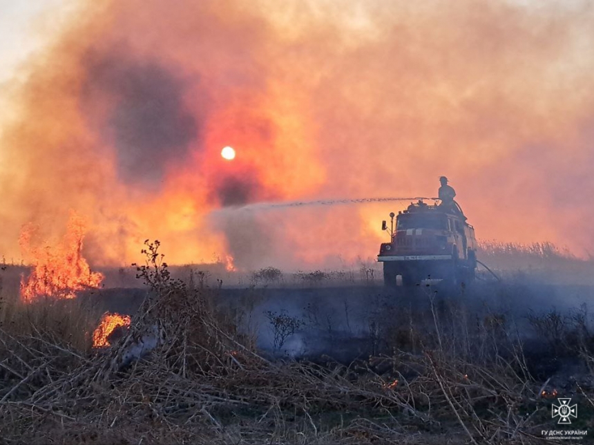 В Николаевской области за сутки возникло 34 пожара – 22 из них в экосистемах