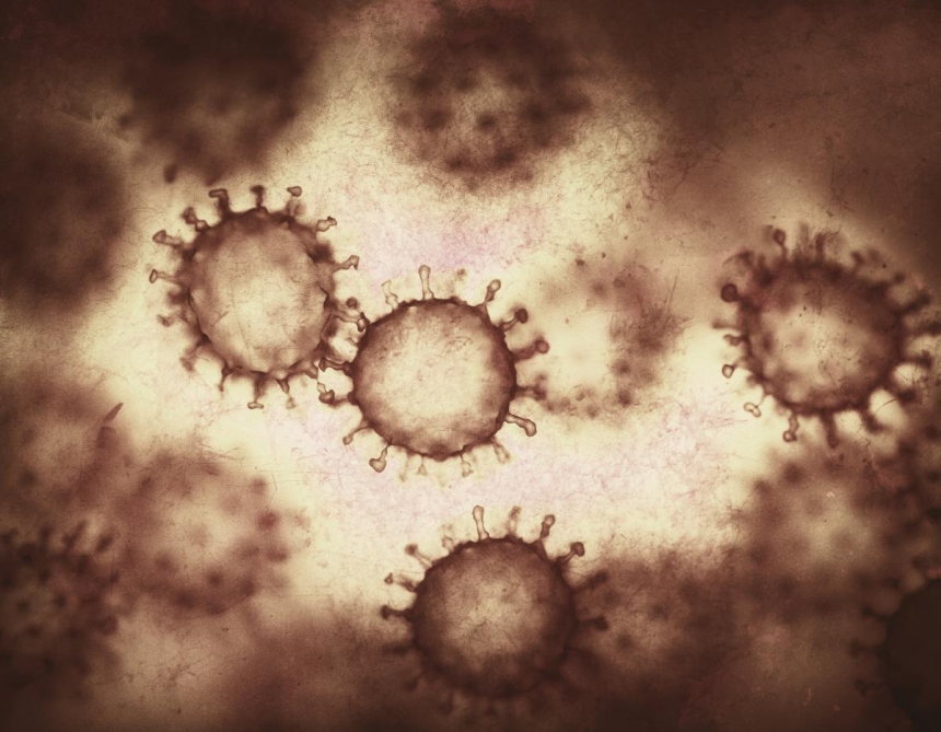 Ученые достали из Марианской впадины самый глубоководный вирус