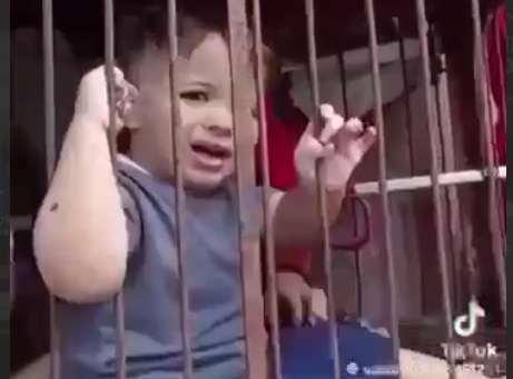 У мережі з'явилося відео, як викрадених ізраїльських дітей тримають у клітках