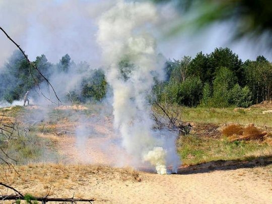 В Николаевской области двое детей подорвались на мине: один из них погиб