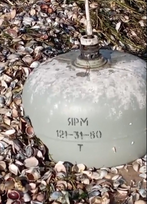 На берег лимана под Николаевом выбросило мину, похожую на газовый баллон (видео)