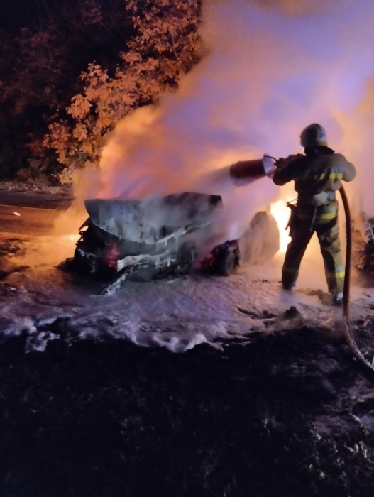 В Николаевской области столкнулись и загорелись Renault и KIA: 4 пострадавших, погибла женщина