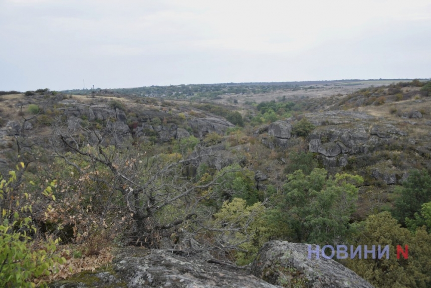 Лес-лабиринт и Арбузинский каньон: куда можно поехать в Николаевской области (фоторепортаж)
