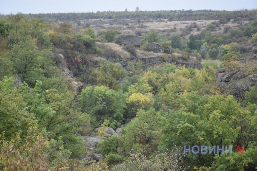 Ліс-лабіринт та Арбузинський каньйон: куди можна поїхати на Миколаївщині (фоторепортаж)