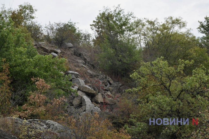 Ліс-лабіринт та Арбузинський каньйон: куди можна поїхати на Миколаївщині (фоторепортаж)