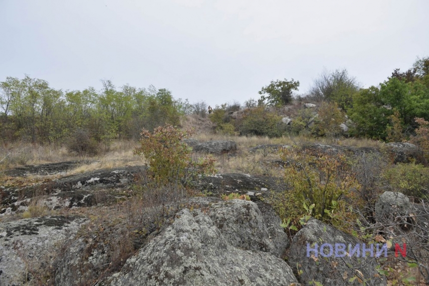 Лес-лабиринт и Арбузинский каньон: куда можно поехать в Николаевской области (фоторепортаж)