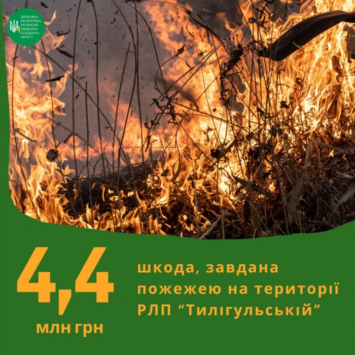 Через необережність горів парк «Тилігульський» – збитки перевищили 4 млн