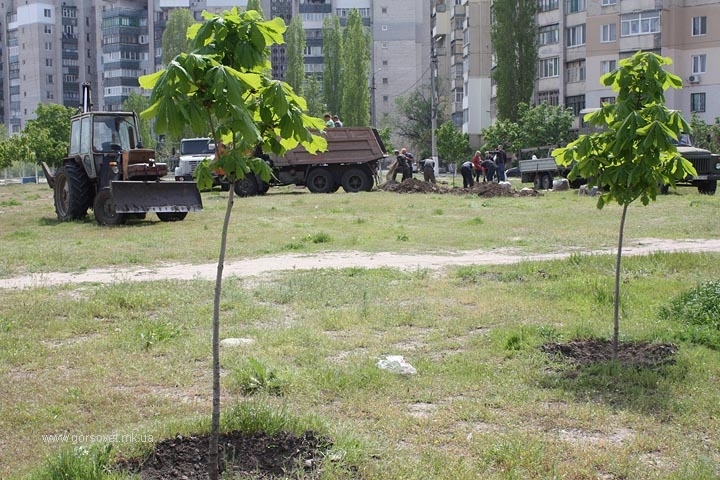 У Миколаєві прийняли екологічну програму: за 5 років хочуть витратити понад 81 мільйон