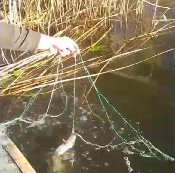 В Южном Буге обнаружены запрещенные орудия вылова рыбы: их собственник пока не установлен (видео)